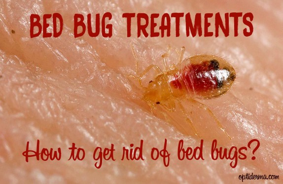 diatomaceous earth for bed bugs diatomaceous earth for bed bugs