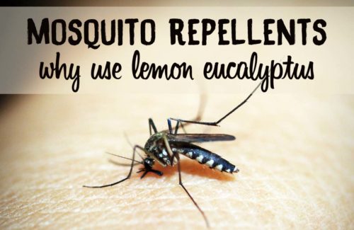 Why Use Lemon Eucalyptus Mosquito Repellents? Why Use Lemon Eucalyptus Mosquito Repellents?