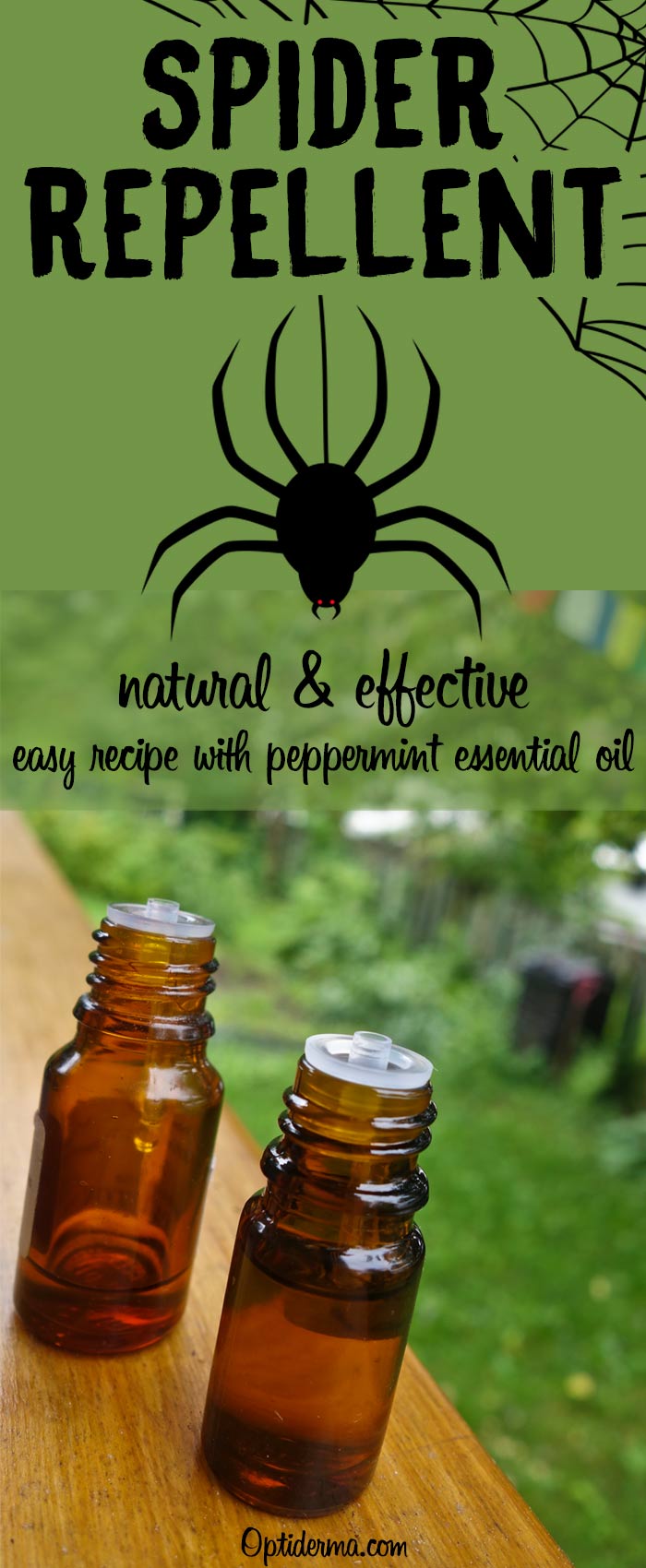 Natural Spider Repellent Essential Oils Natural Spider Repellent Essential Oils