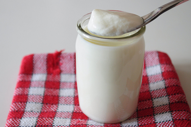 Best probiotics for women: yogurt
