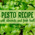 almond basil pesto recipe