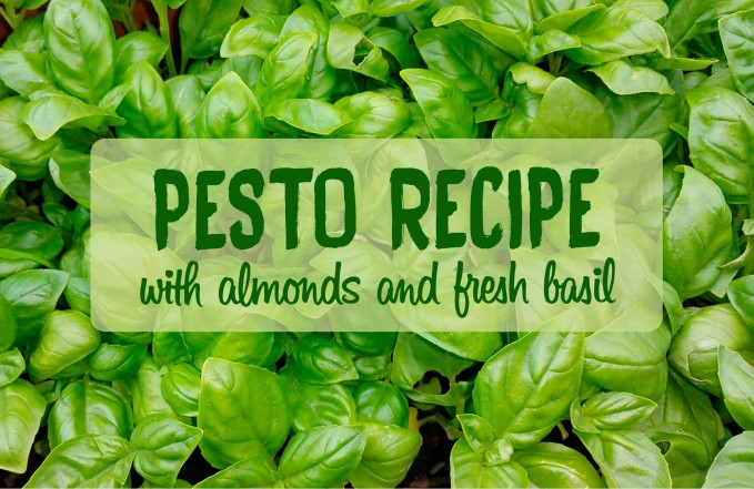 almond basil pesto recipe