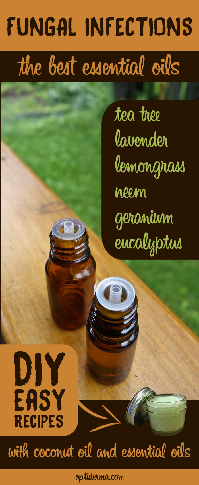 The Best Antifungal Essential Oils: Tea Tree, Lavender, Lemongrass, Neem, Eucalyptus, Geranium