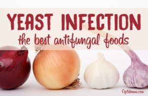 Best Antifungal Foods- Candida Yeast Infection