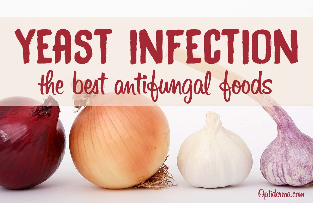 Best Antifungal Foods- Candida Yeast Infection