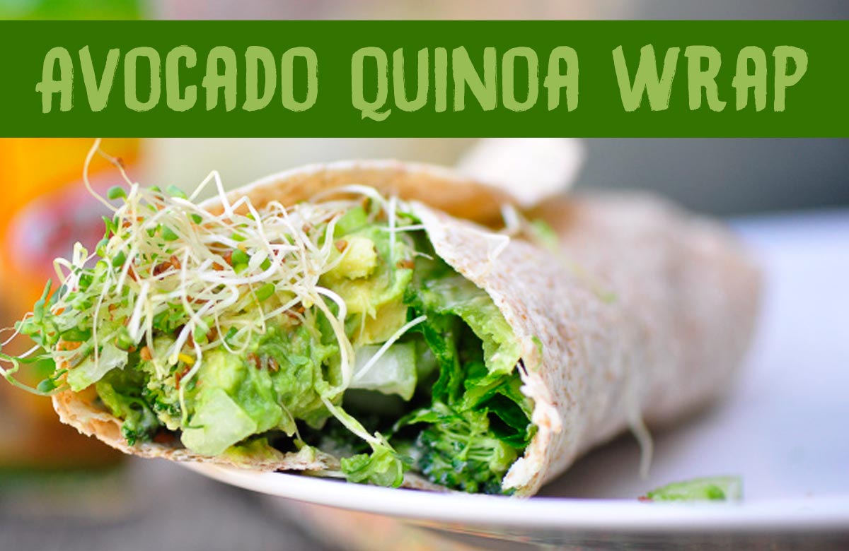 Healthy Vegan Quinoa Wrap with Avocado and Alfalfa Sprouts