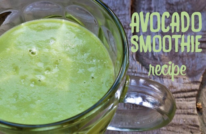 Avocado smoothie recipe