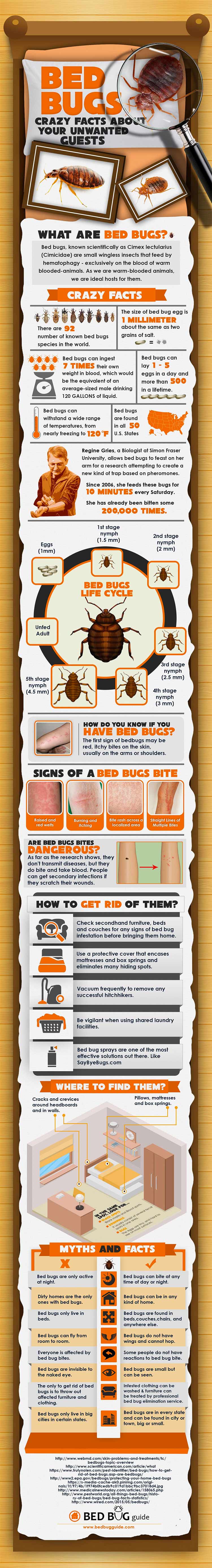 About Bed Bugs