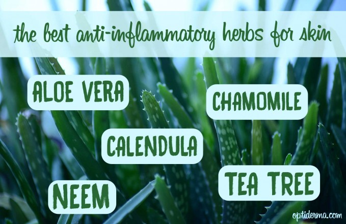 anti-inflammatory herbs for skin