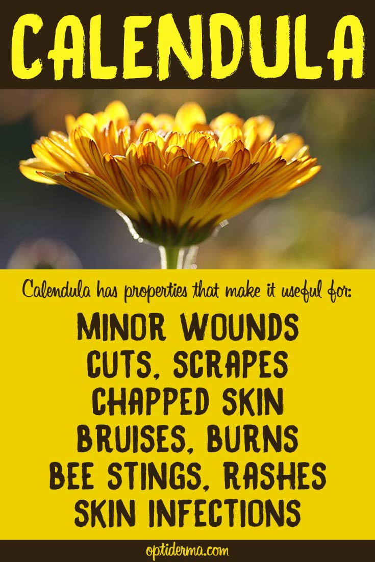 Calendula for wounds, cuts, burns, skin irritations