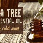 tea tree for cold sores