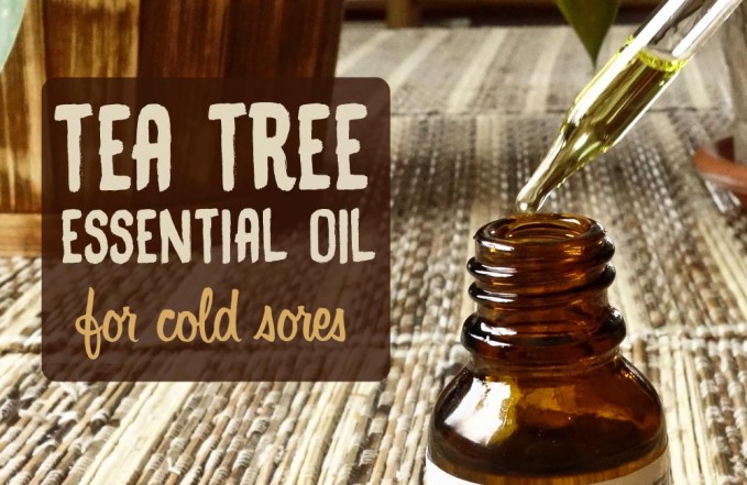 tea tree for cold sores