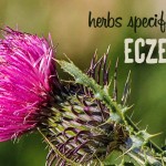 skin rash eczema herbs