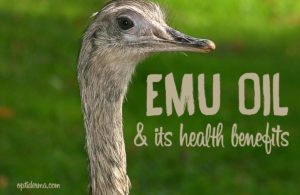 Where does emu oil come from?