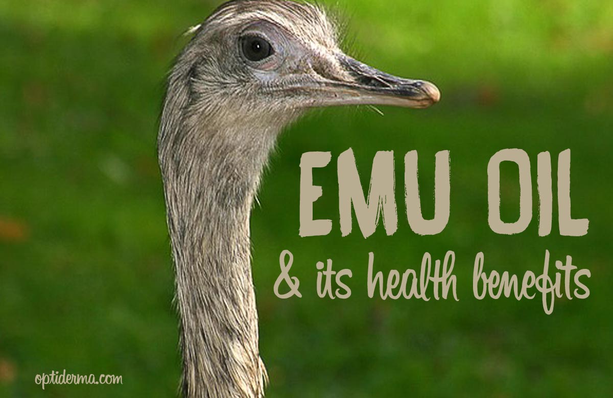 Where does emu oil come from?
