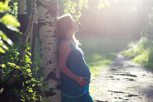 Essential Oils Pregnancy Essential Oils Pregnancy