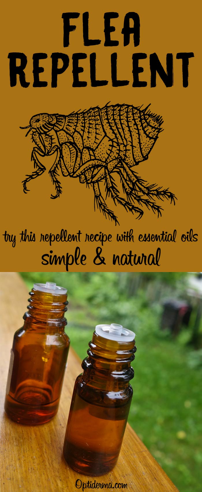 Natural Flea Repellent with Essential Oils