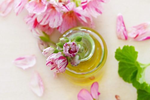 Geranium Essential Oil Skin Rashes Geranium Essential Oil Skin Rashes