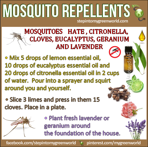 Natural mosquito repellent with essential oils