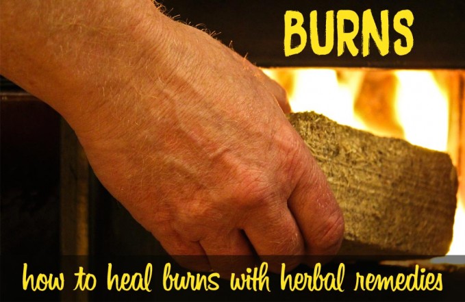 Herbs for Burns