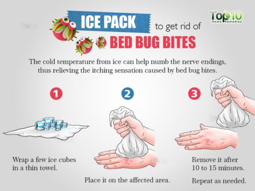Bed Bug Bite Relief