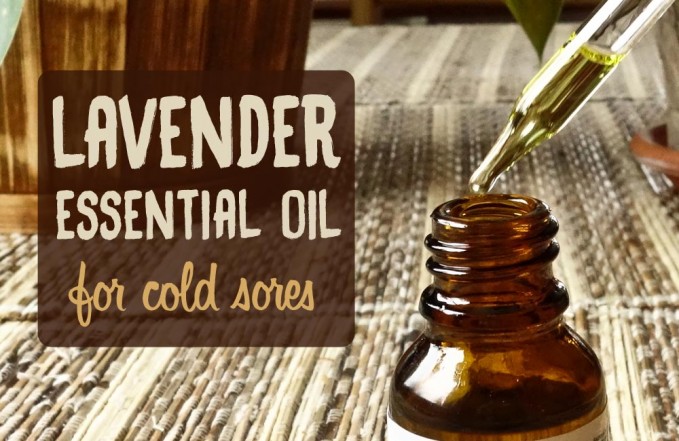 Lavender essential oil for cold sores