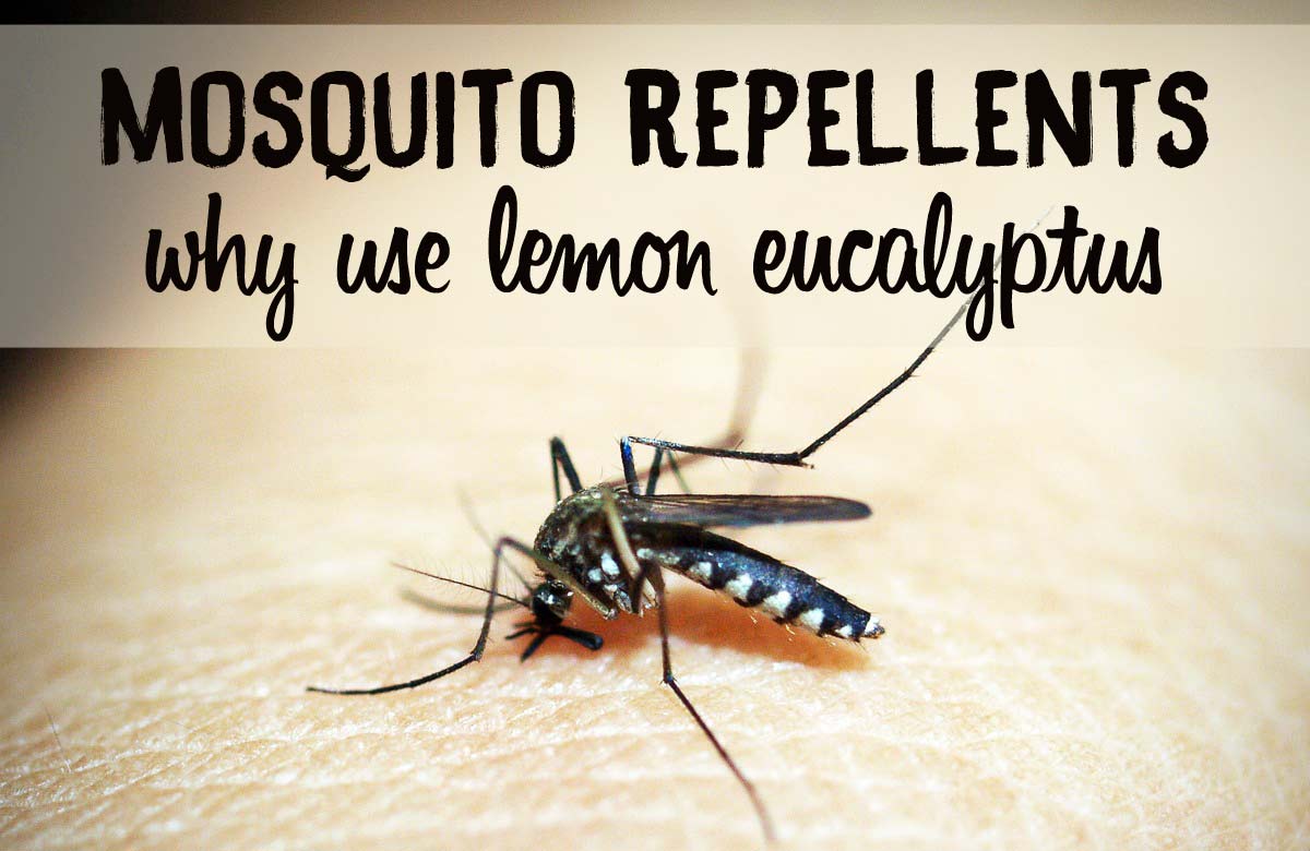 Why Use Lemon Eucalyptus Mosquito Repellents?