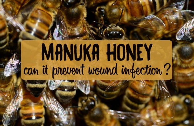 Manuka honey for wounds - can manuka honey heal wounds?