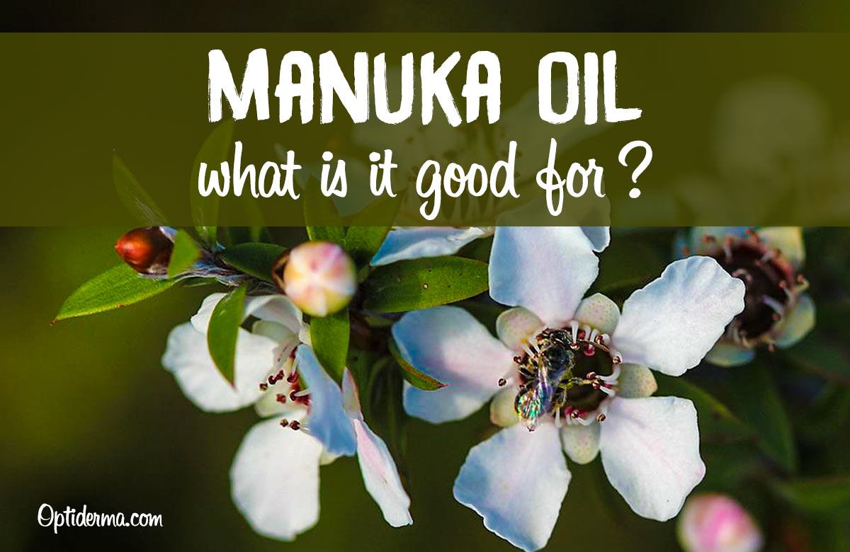 The Benefits of Manuka Oil