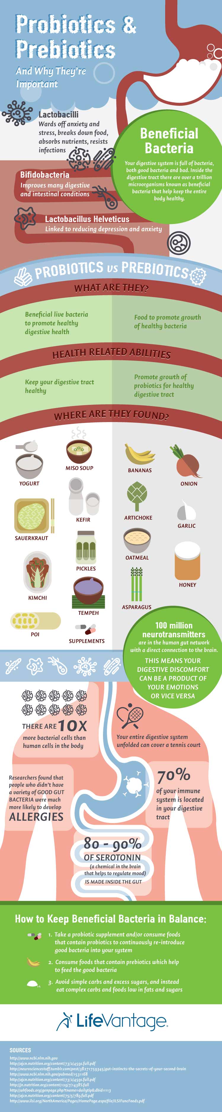 Benefits of Probiotics & Foods that Contain Probiotics & Prebiotics
