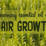 Rosemary oil for hair growth