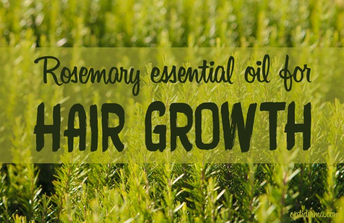 Rosemary oil for hair growth