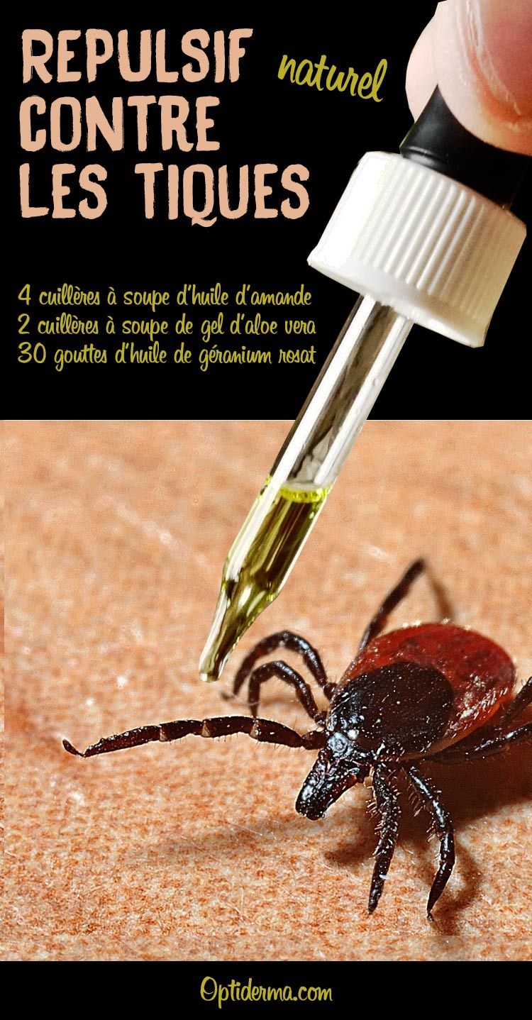 Répulsif Naturel Maison Contre Les Tiques Répulsif Naturel Maison Contre Les Tiques