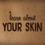 skin largest body organ