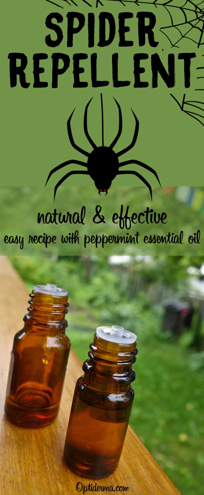 Natural Spider Repellent with Peppermint Essential Oil