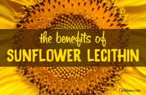 The Benefits of Sunflower Lecithin