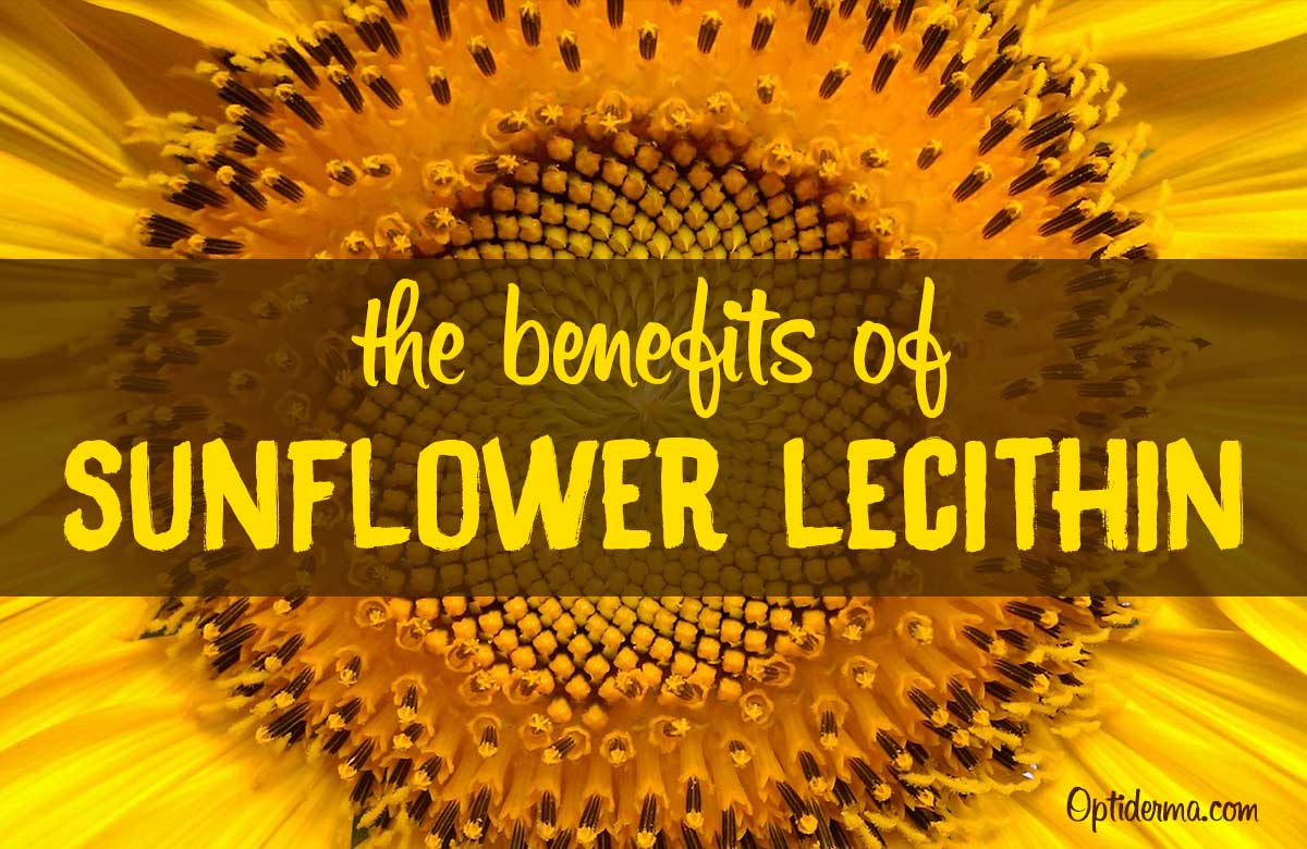 The Benefits of Sunflower Lecithin