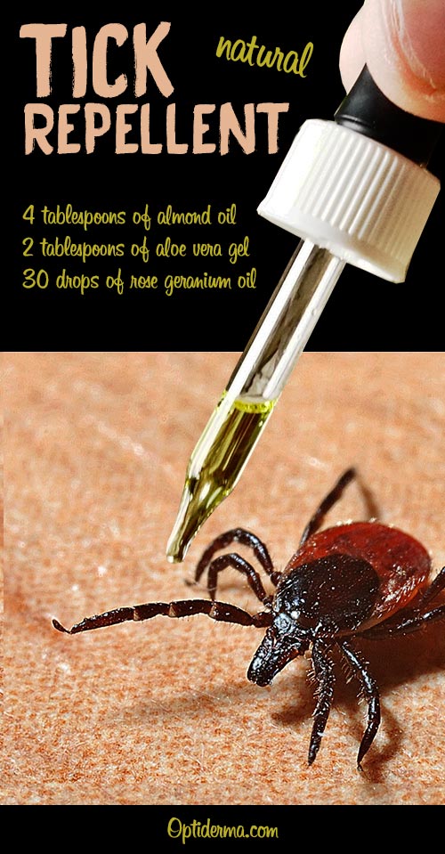 Tick Repellent Recipe with Rose Geranium Oil (for Dogs & Humans)