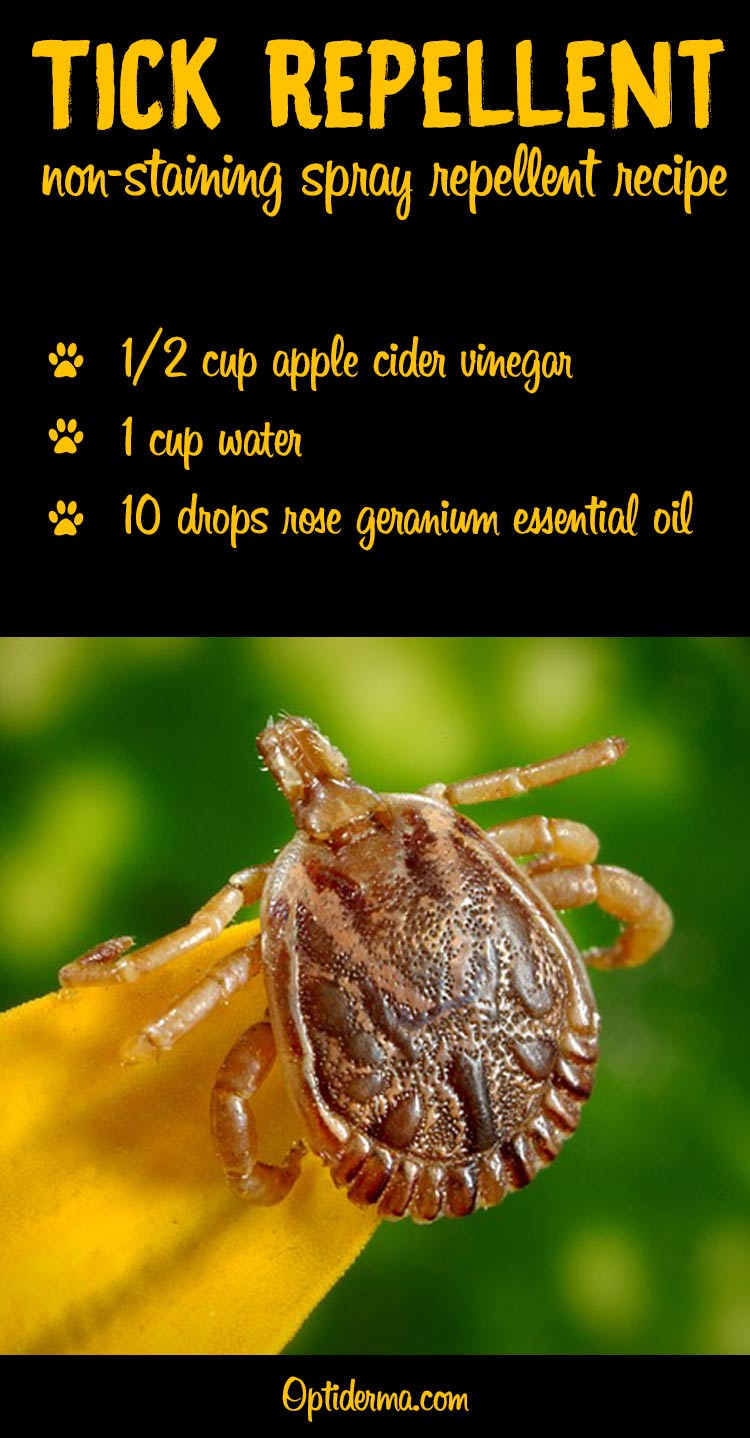 Natural Tick Repellent Recipe 