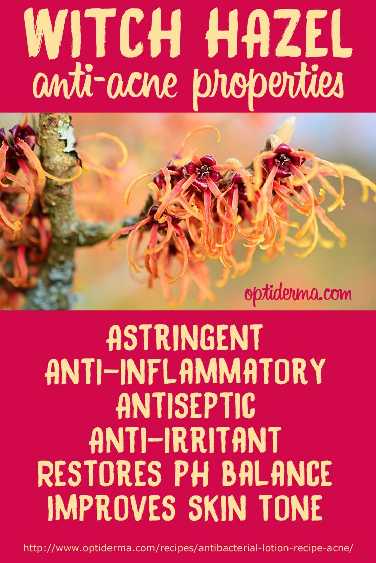Benefits of Witch Hazel for Acne Benefits of Witch Hazel for Acne