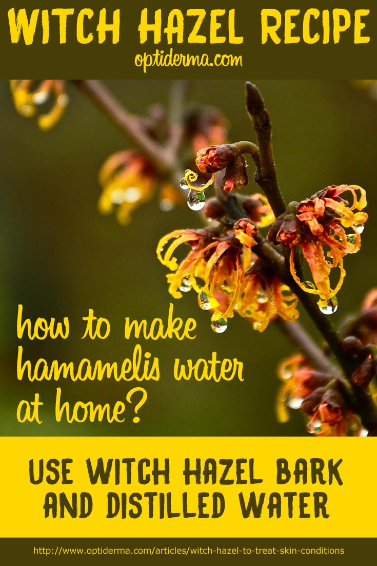 How to make witch hazel for psoriasis and eczema at home?